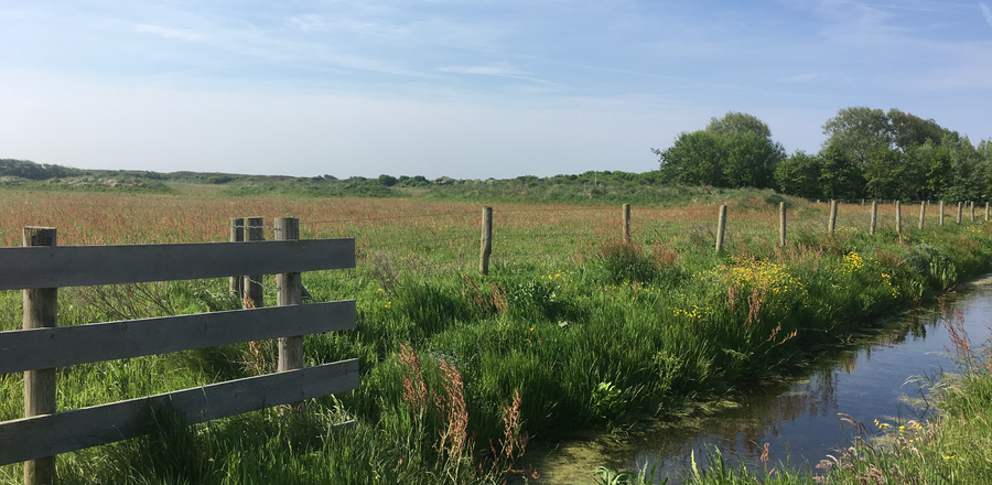 Foto Naturreservat "Zwanenwater" Wiese mit Bachlauf und Zaun