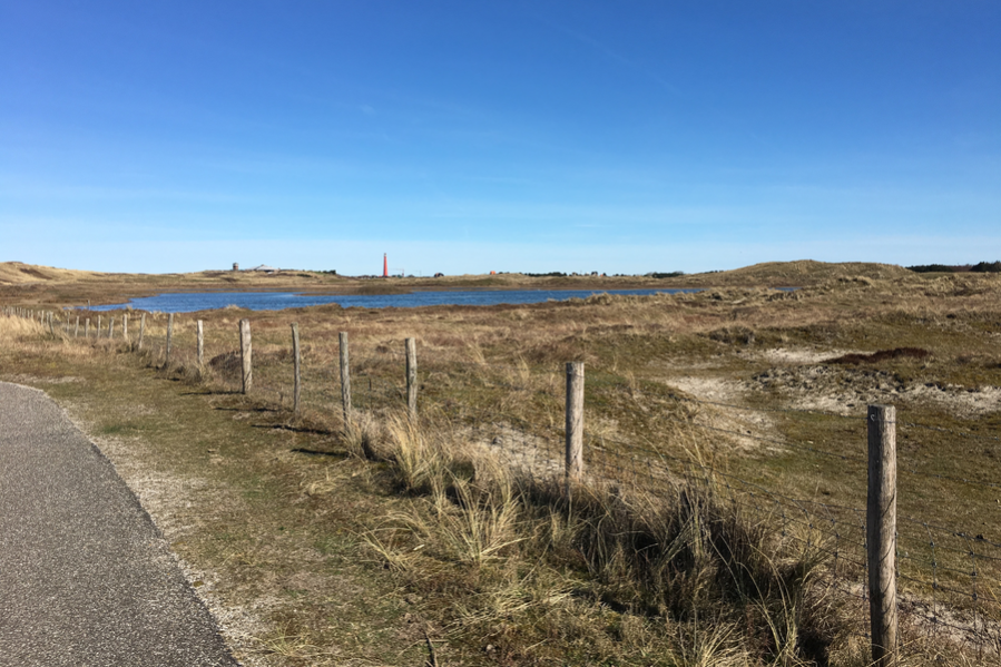 Foto Radweg in der Düne mit See und Leuchtturm am Horizont