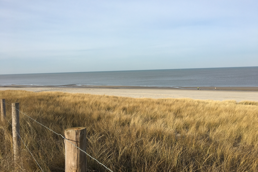 Foto mit Dünengras, Strand und Meer