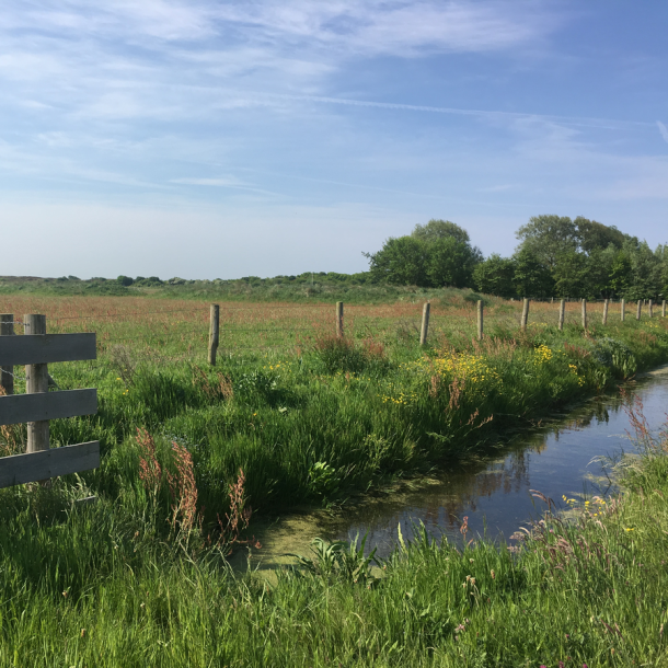 Foto kleiner Bach in der grünen Wiese des Naturschutzgebietes mit blauem Himmel und weißen Wolken